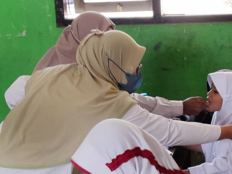 Pemberian Obat Cacing